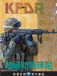 《知远防务评论》2017No.6(总第117期)
